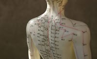 Acupuncture Training Courses 724886 Image 0